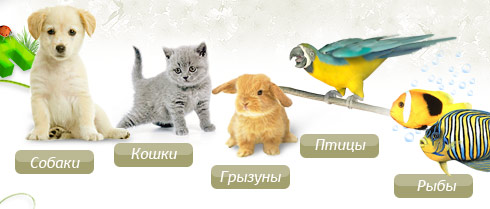 Зоомагазин Интернет Магазин Для Животных Москва
