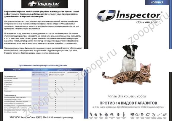 Inspector (Инспектор)